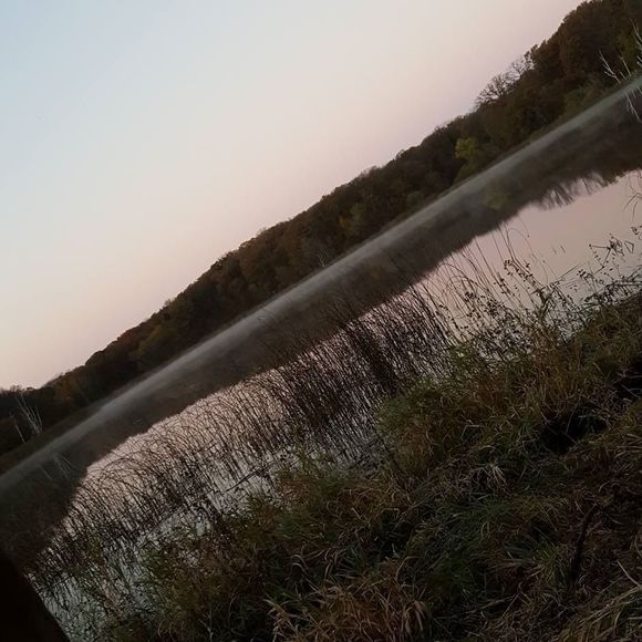 Meet your Posher, Justin - Picture 1 of 1